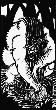 foto_ojancan.gif (16067 bytes)