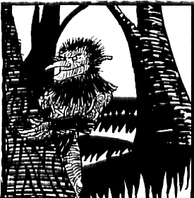 foto_trenti.gif (16881 bytes)